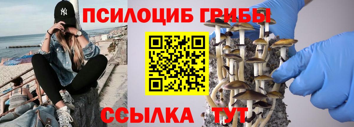 Псилоцибиновые грибы Magic Shrooms  Златоуст 